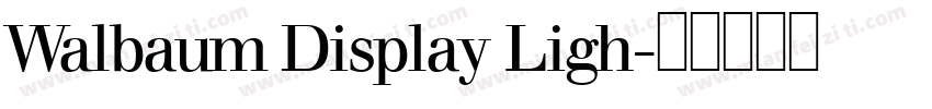 Walbaum Display Ligh字体转换